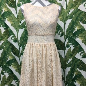 LOFT Lace Dress